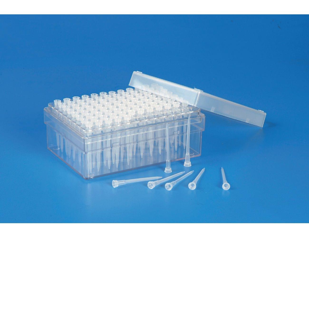 Cajas vacìas semitransparentes Capacidad 0,5-10